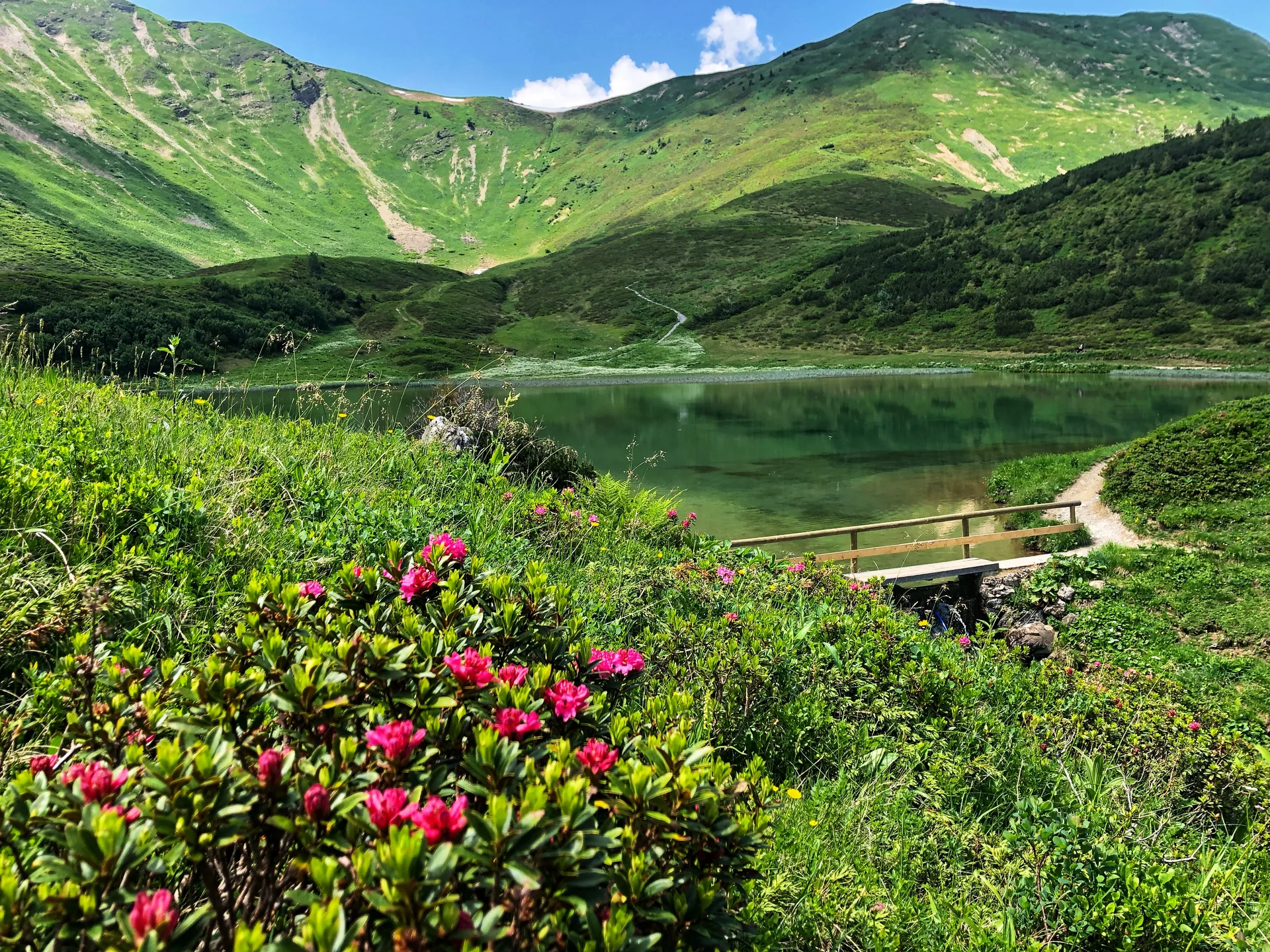 © Oberstdorf | Kleinwalsertal Bergbahnen