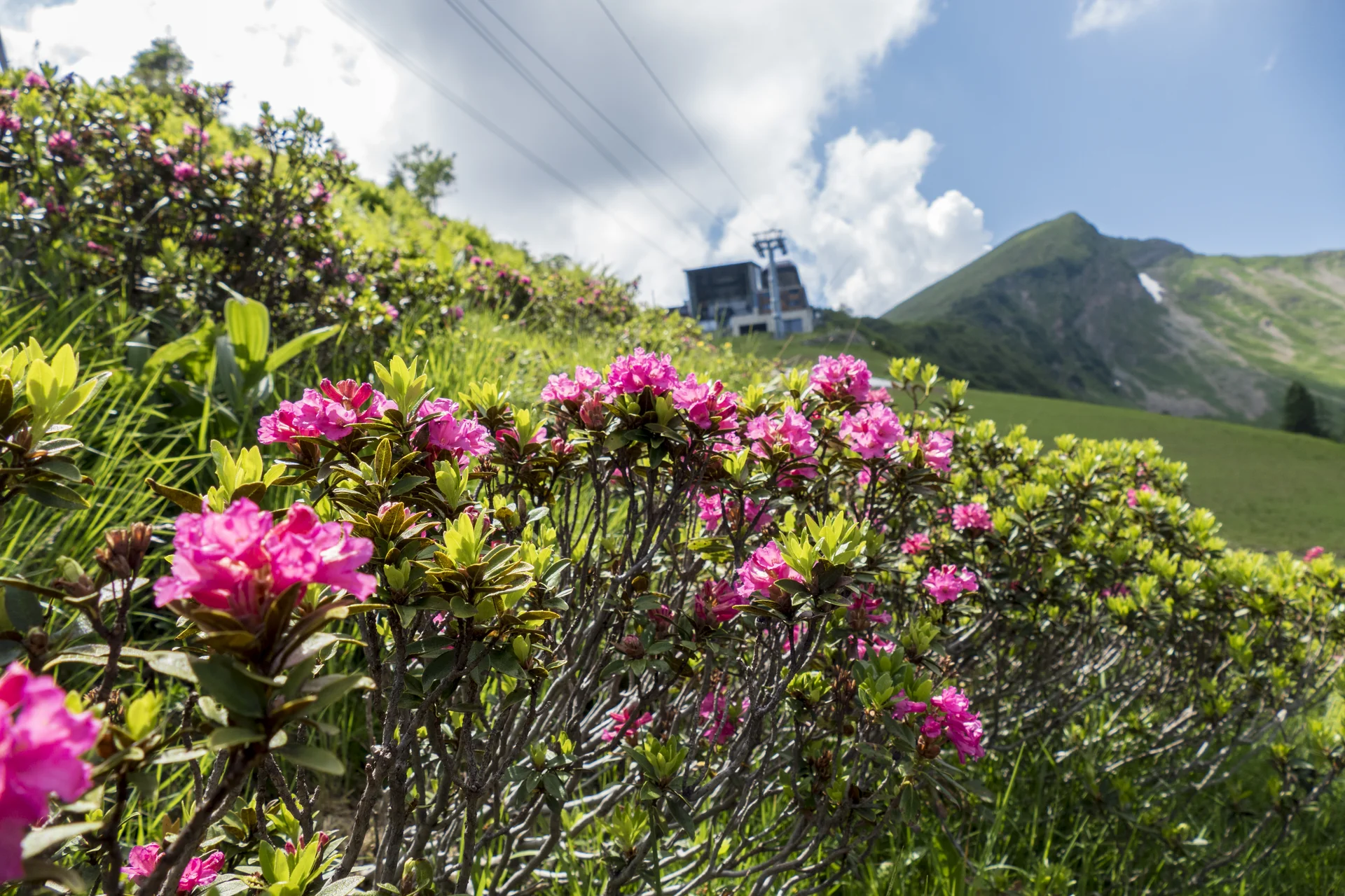 © Oberstdorf | Kleinwalsertal Bergbahnen