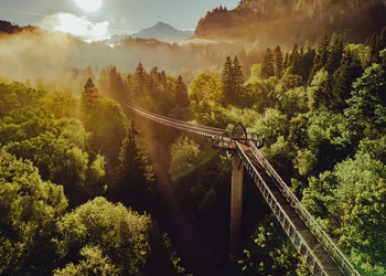 Baumkronenweg Ziegelwies & Floßfahrt Lechbruck