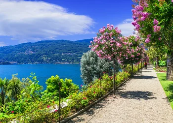 Lago Maggiore im Frühling - Blütenzauber am größten See Italiens