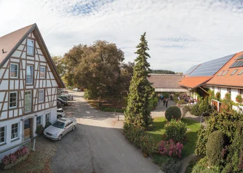 Martinsgansessen beim Mostbauer - Genussvolles Tagesausflugziel