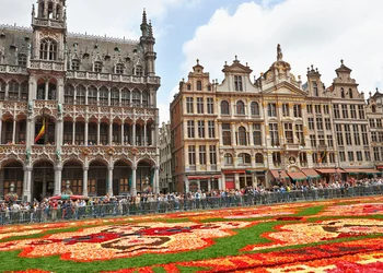 Blumenteppich - Brüssel - Gent - Brügge