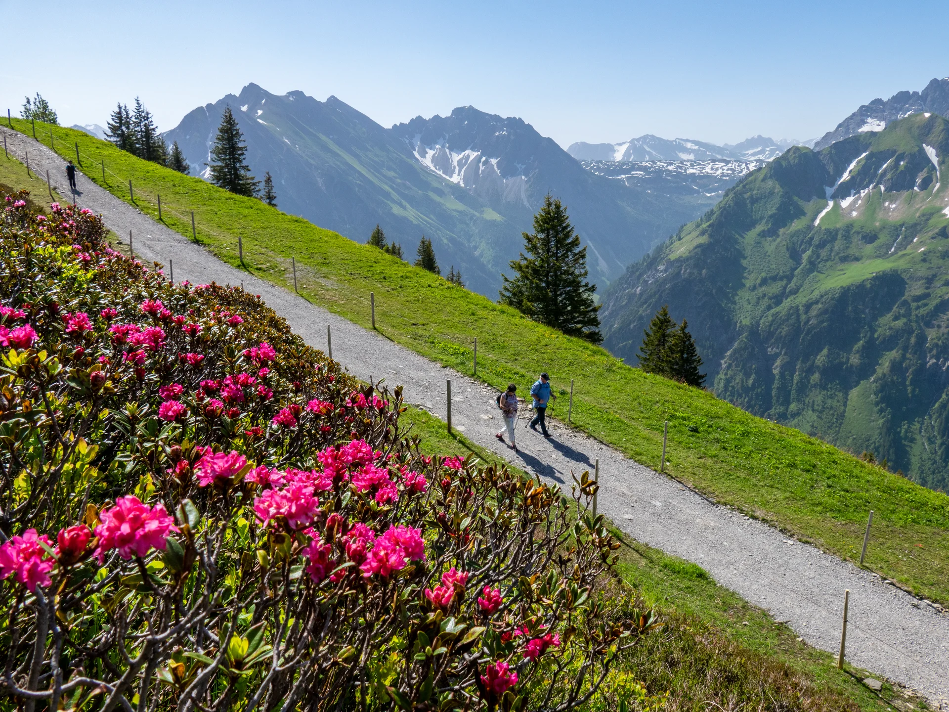 © Oberstdorf | Kleinwalsertal Bergbahnen