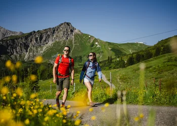Blumenwanderung am Fellhorn