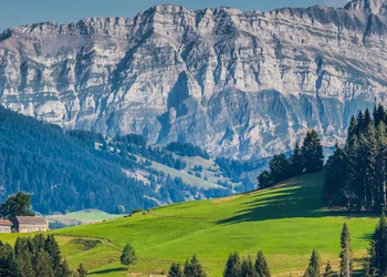 Säntis & Appenzeller Käse